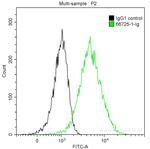 TYMS Antibody in Flow Cytometry (Flow)