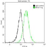 Cytokeratin 5 Antibody in Flow Cytometry (Flow)