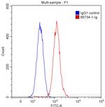 TDP-43 Antibody in Flow Cytometry (Flow)