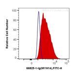 MYH14 Antibody in Flow Cytometry (Flow)