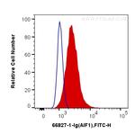 IBA1 Antibody in Flow Cytometry (Flow)