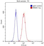 IL-12RB1 Antibody in Flow Cytometry (Flow)