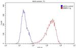 CD98/SLC3A2 Antibody in Flow Cytometry (Flow)