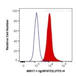 NFATC2 Antibody in Flow Cytometry (Flow)