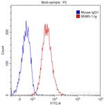 FBL Antibody in Flow Cytometry (Flow)