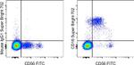 CD16 Antibody in Flow Cytometry (Flow)