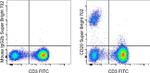 CD20 Antibody in Flow Cytometry (Flow)