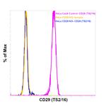 CD29 (Integrin beta 1) Antibody