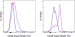 CD38 Antibody in Flow Cytometry (Flow)