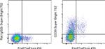 CD39 Antibody in Flow Cytometry (Flow)