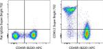 CD90.2 (Thy-1.2) Antibody in Flow Cytometry (Flow)