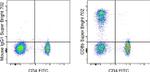 CD8b Antibody in Flow Cytometry (Flow)