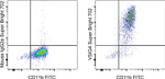 VSIG4 Antibody in Flow Cytometry (Flow)