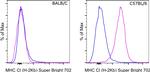 MHC Class I (H-2kb) Antibody in Flow Cytometry (Flow)