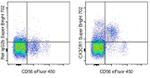 CX3CR1 Antibody in Flow Cytometry (Flow)