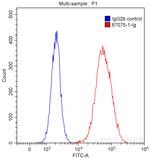 Endoglin/CD105 Antibody in Flow Cytometry (Flow)