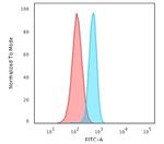 Spectrin beta III (SPTBN2) Antibody in Flow Cytometry (Flow)