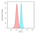 Spectrin beta III (SPTBN2) Antibody in Flow Cytometry (Flow)