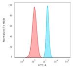 Spectrin beta III (SPTBN2) Antibody in Flow Cytometry (Flow)