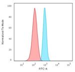 Spectrin beta III (SPTBN2) Antibody in Flow Cytometry (Flow)