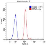 TDP-43 Antibody in Flow Cytometry (Flow)