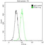 TSG101 Antibody in Flow Cytometry (Flow)