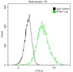 FGL1 Antibody in Flow Cytometry (Flow)