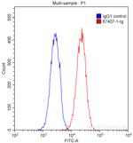 VEGFR2 Antibody in Flow Cytometry (Flow)