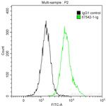 RHOC Antibody in Flow Cytometry (Flow)