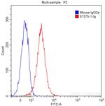 CDK1 Antibody in Flow Cytometry (Flow)