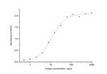 SARS-CoV-2 Nucleocapsid Phosphoprotein Antibody in ELISA (ELISA)