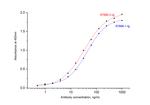 SARS-CoV-2 Nucleocapsid Phosphoprotein Antibody in ELISA (ELISA)