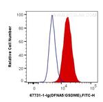 DFNA5 Antibody in Flow Cytometry (Flow)