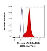 Phospho-mTOR (Ser2448) Antibody in Flow Cytometry (Flow)