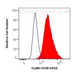 PGK2 Antibody in Flow Cytometry (Flow)