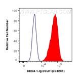 DCLK1 Antibody in Flow Cytometry (Flow)