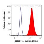 KIAA1429 Antibody in Flow Cytometry (Flow)