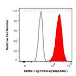 Podocalyxin Antibody in Flow Cytometry (Flow)