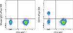 CD19 Antibody in Flow Cytometry (Flow)