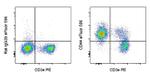 CD44 Antibody in Flow Cytometry (Flow)