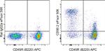 CD90.2 (Thy-1.2) Antibody in Flow Cytometry (Flow)