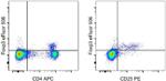 FOXP3 Antibody in Flow Cytometry (Flow)