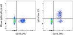 IgD Antibody in Flow Cytometry (Flow)