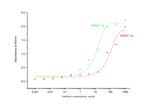 IL-23 p40 Antibody in ELISA (ELISA)