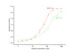 Noggin Antibody in ELISA (ELISA)