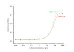 TGF beta 1 Antibody in ELISA (ELISA)