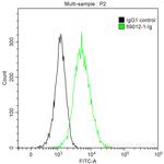 TGF beta 1 Antibody in Flow Cytometry (Flow)