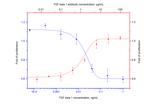 TGF beta 1 Antibody in Neutralization (Neu)