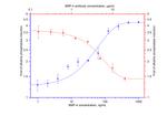 BMP-4 Antibody in Neutralization (Neu)