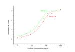 EPO Antibody in ELISA (ELISA)